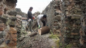 24 Dokončení vyřezání náletových dřevin ve farním areálu ve Svatoboru       